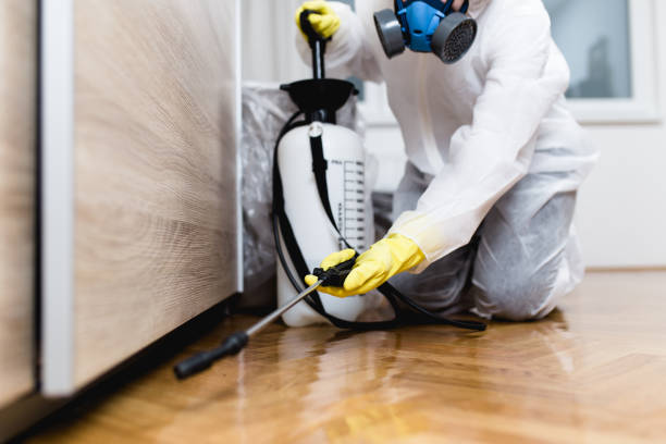 Best Emergency Pest Control  in Grambling, LA