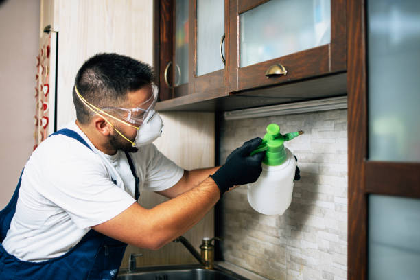 Professional Pest Control in Grambling, LA