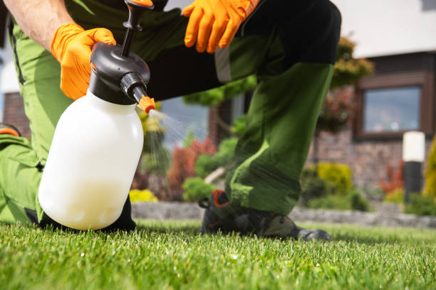 Best Pest Control for Businesses  in Grambling, LA