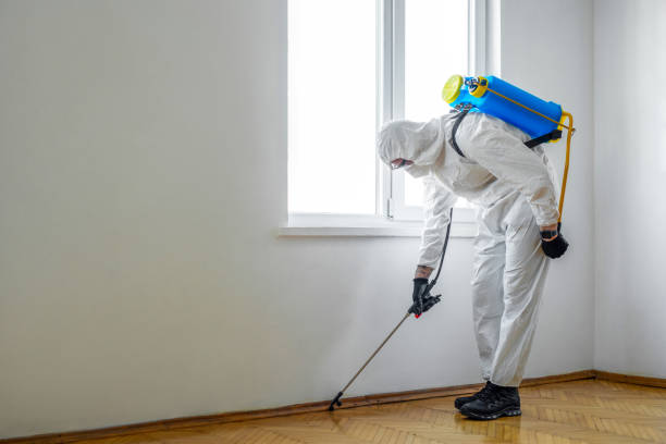 Best Best Pest Control Companies  in Grambling, LA