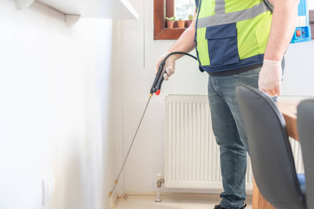 Wasp Removal Services in Grambling, LA