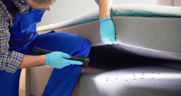 Best Pest Control Near Me  in Grambling, LA