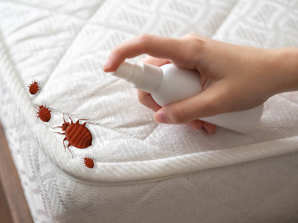 Best Pest Removal Services  in Grambling, LA