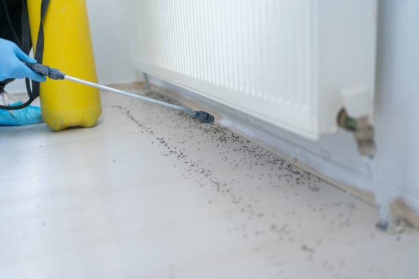 Best Pest Control Near Me in Grambling, LA