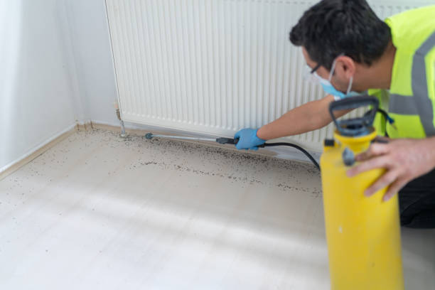Best Rat Extermination Near Me  in Grambling, LA